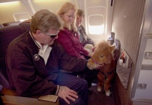 Un pequeño caballo como animal de apoyo emocional